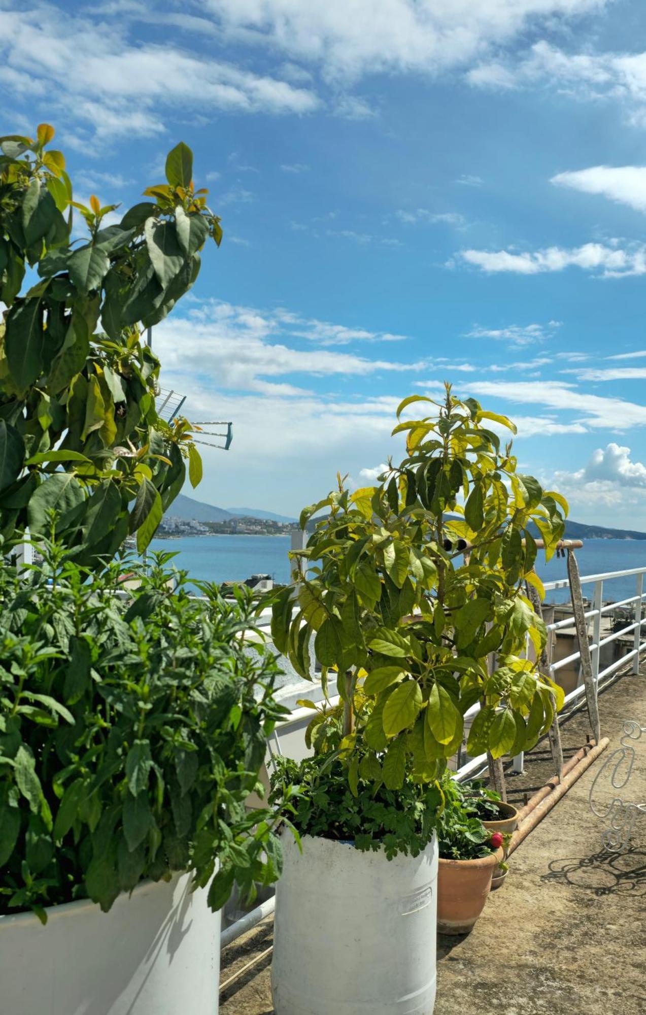 Joen Apartments Sarandë Eksteriør bilde